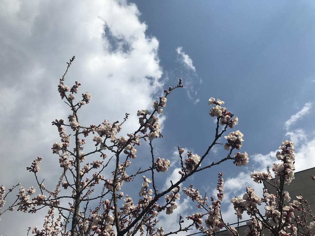 Naru Guesthouse Seul Dış mekan fotoğraf
