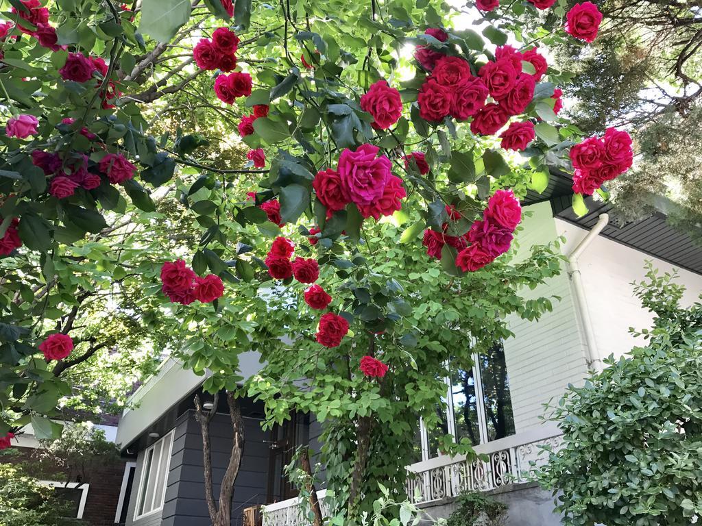 Naru Guesthouse Seul Dış mekan fotoğraf