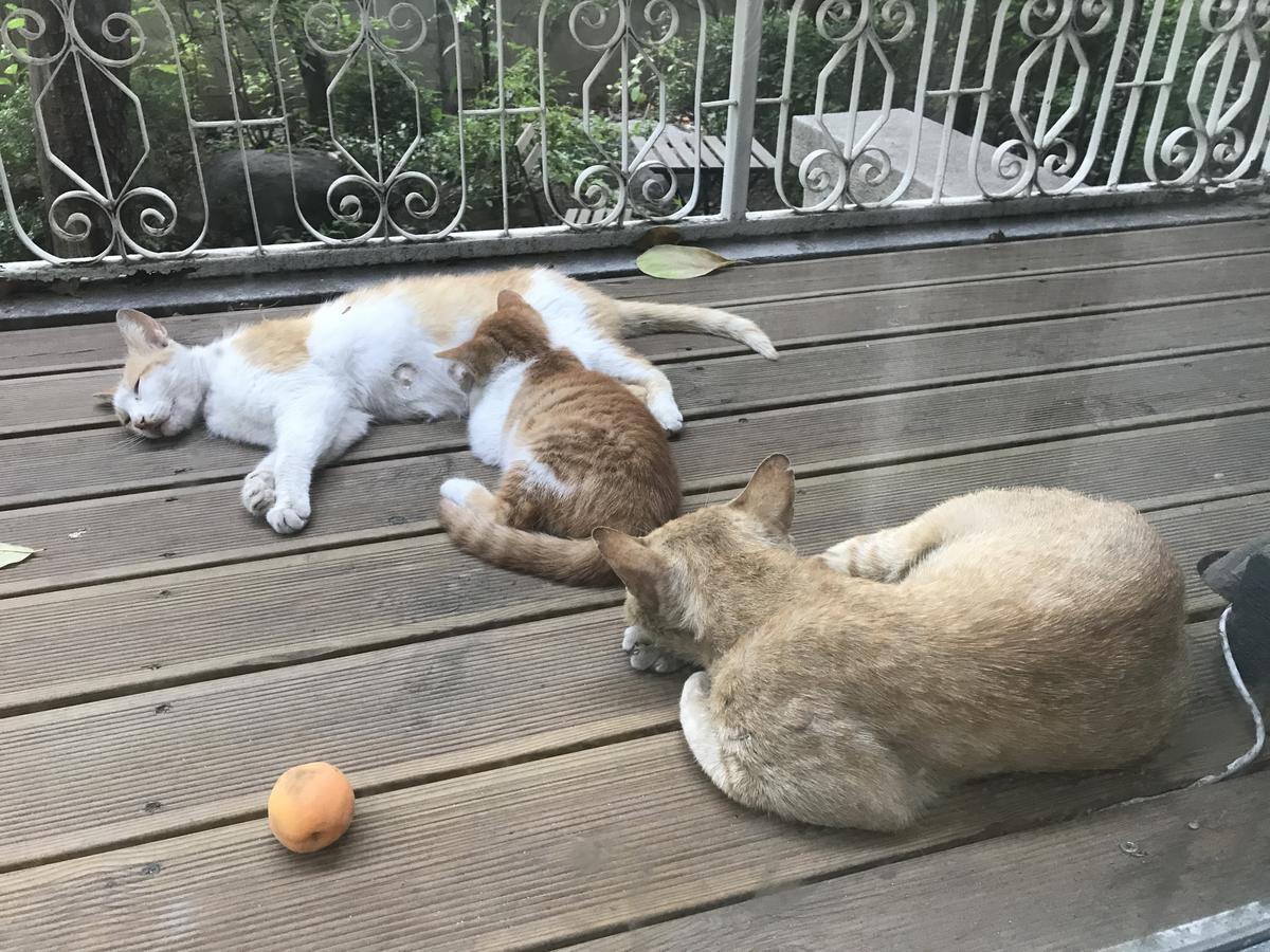 Naru Guesthouse Seul Dış mekan fotoğraf