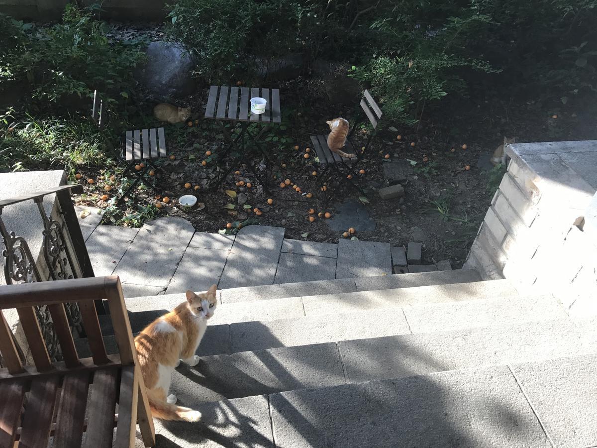 Naru Guesthouse Seul Dış mekan fotoğraf