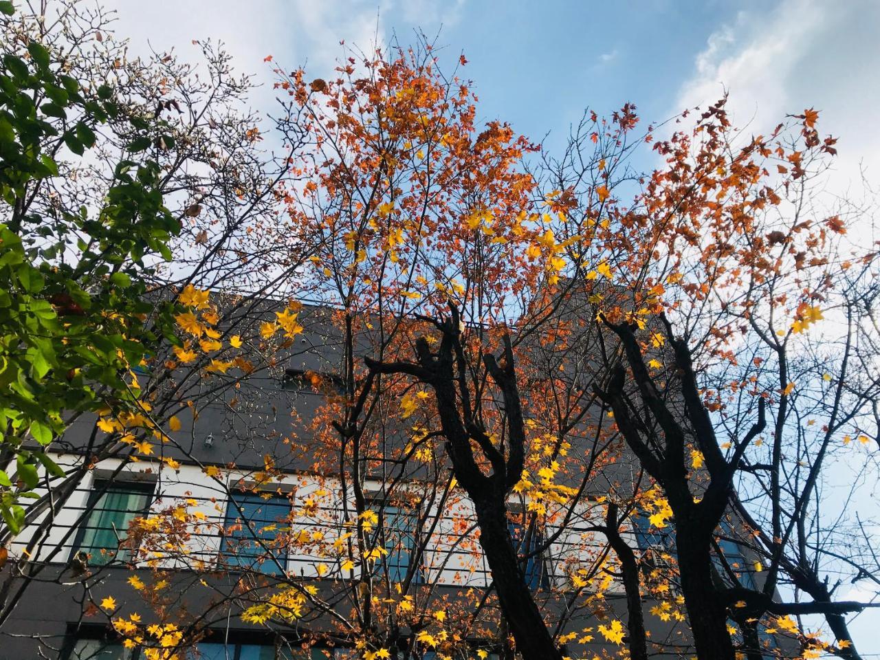 Naru Guesthouse Seul Dış mekan fotoğraf