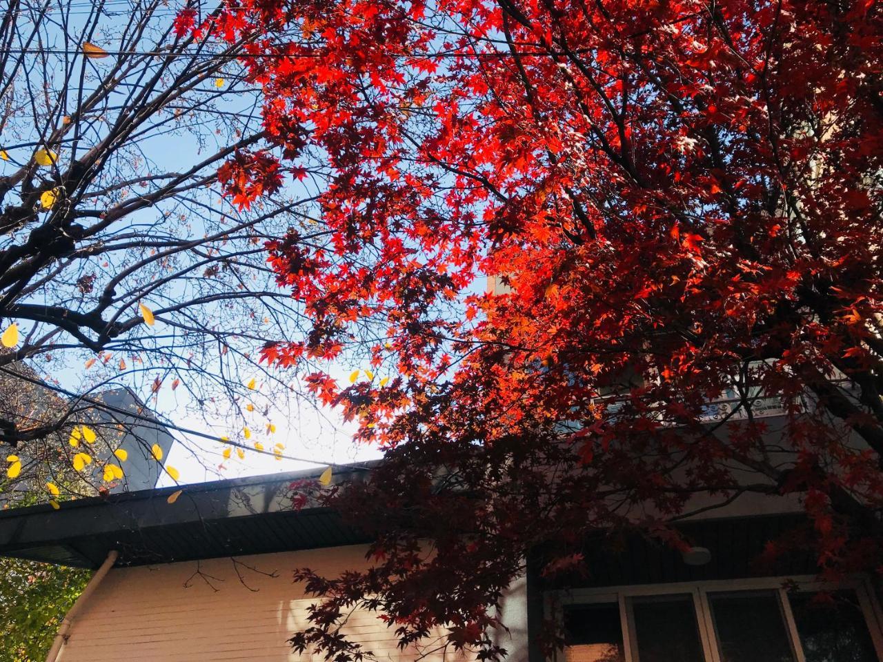 Naru Guesthouse Seul Dış mekan fotoğraf