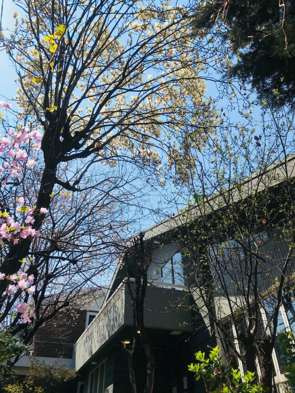 Naru Guesthouse Seul Dış mekan fotoğraf