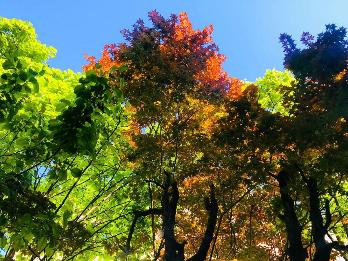 Naru Guesthouse Seul Dış mekan fotoğraf