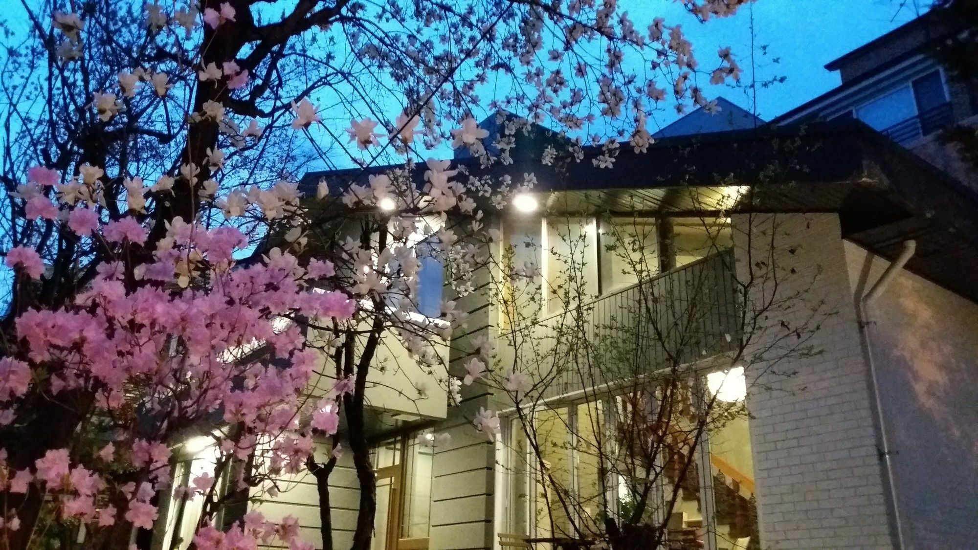 Naru Guesthouse Seul Dış mekan fotoğraf